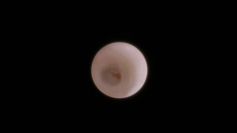 ch1_image_022.jpg