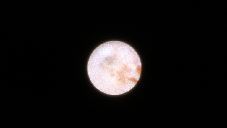 ch1_image_026.jpg