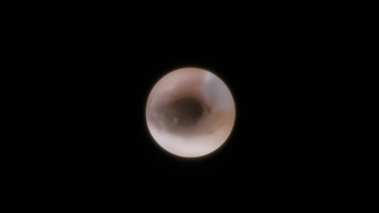 ch1_image_031.jpg