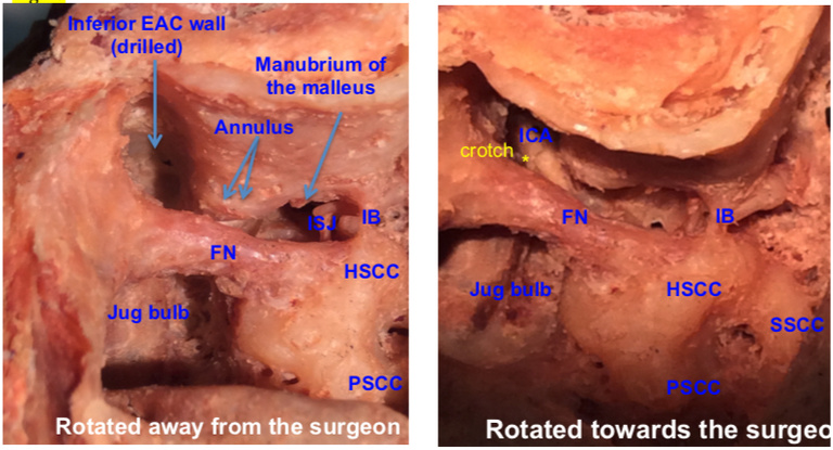 Figure 10.jpg