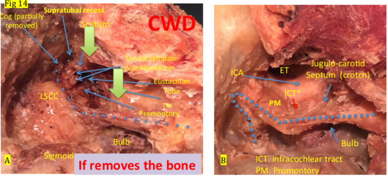 Figure 14.jpg