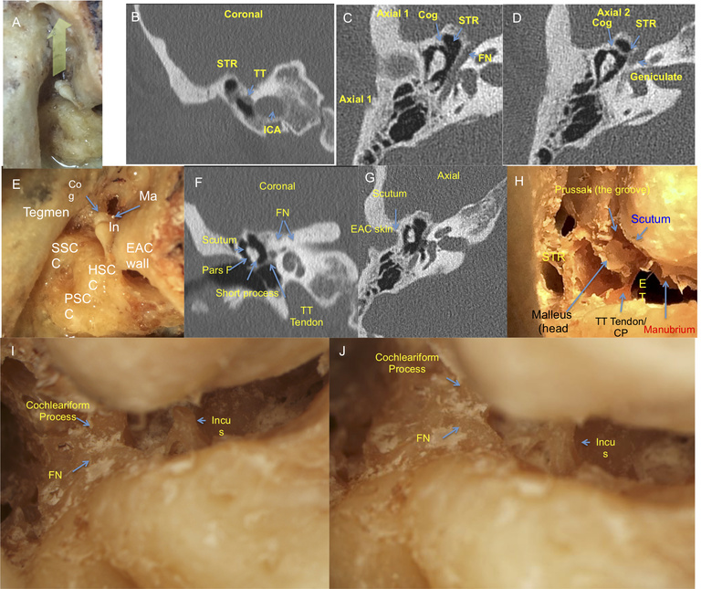 Figure 5.jpg